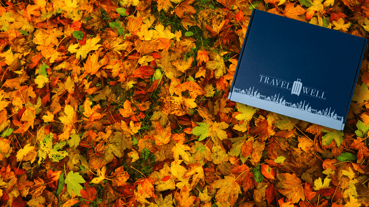 Blue box with 'Travel Well' branding on a bed of autumn leaves