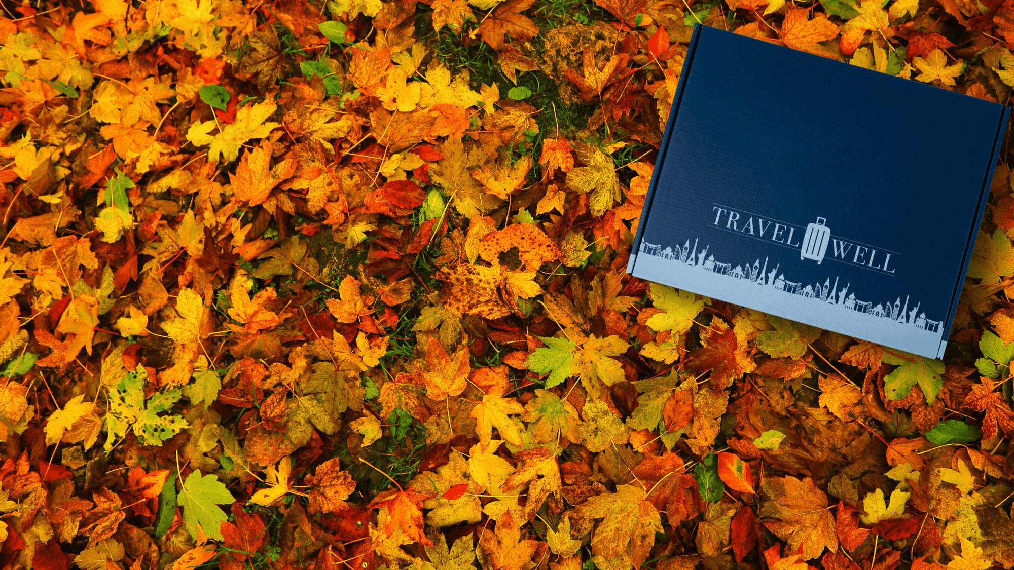 Blue box with 'Travel Well' branding on a bed of autumn leaves